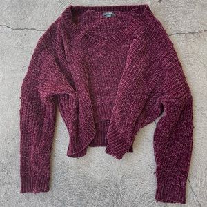 Wild Fabel Crop Sweater
